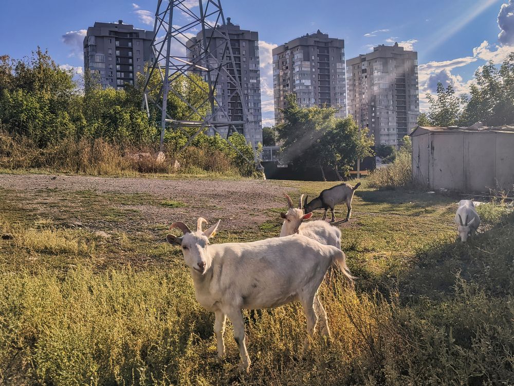 Photograph by Дудников Александр