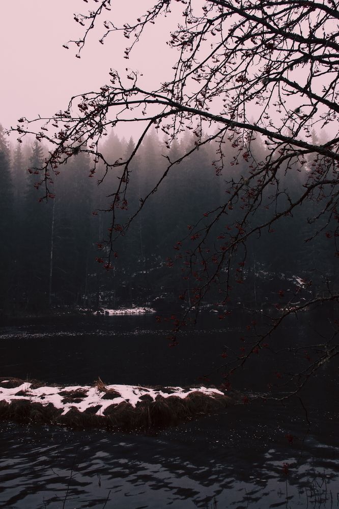 Photograph by Дарья Эглите