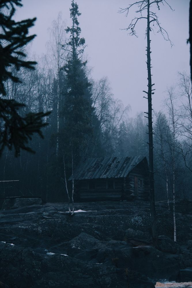 Photograph by Дарья Эглите