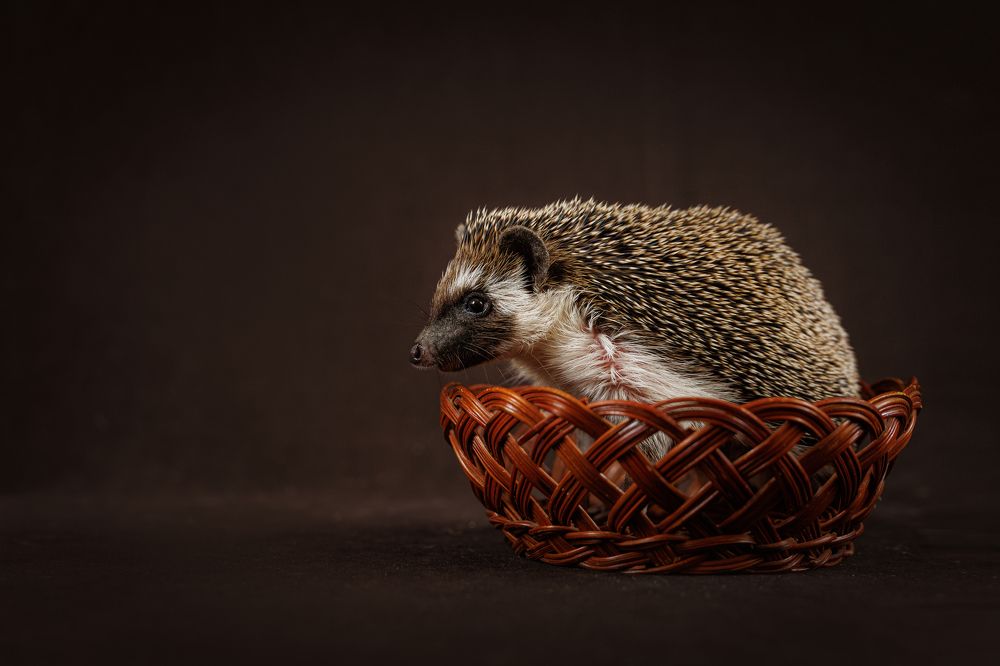 Photograph by Яна Нарбутович