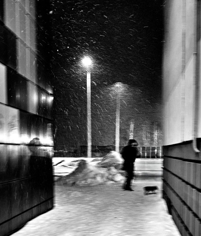 Фотография автора Наталья Новикова