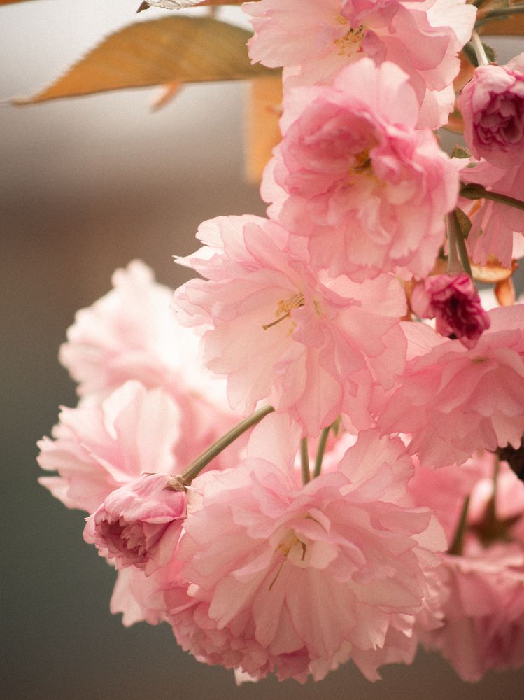 Photograph by Liudmila Kirillova