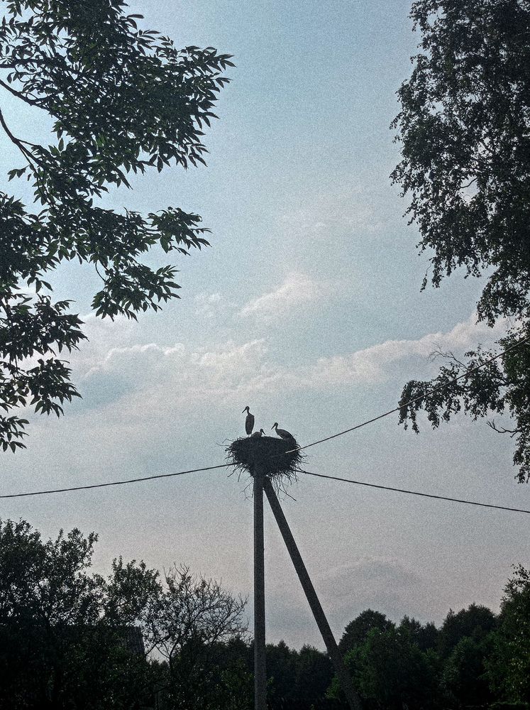 Photograph by Ольга Плотникова