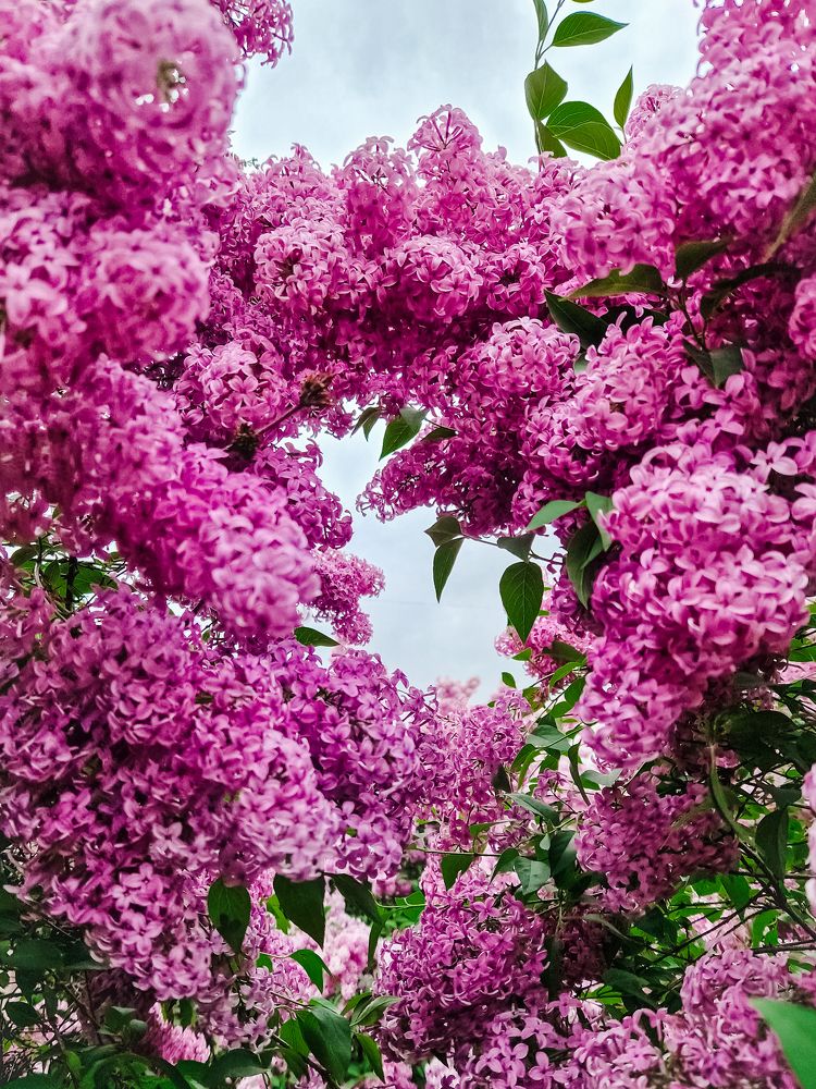 Photograph by Liudmila Kirillova