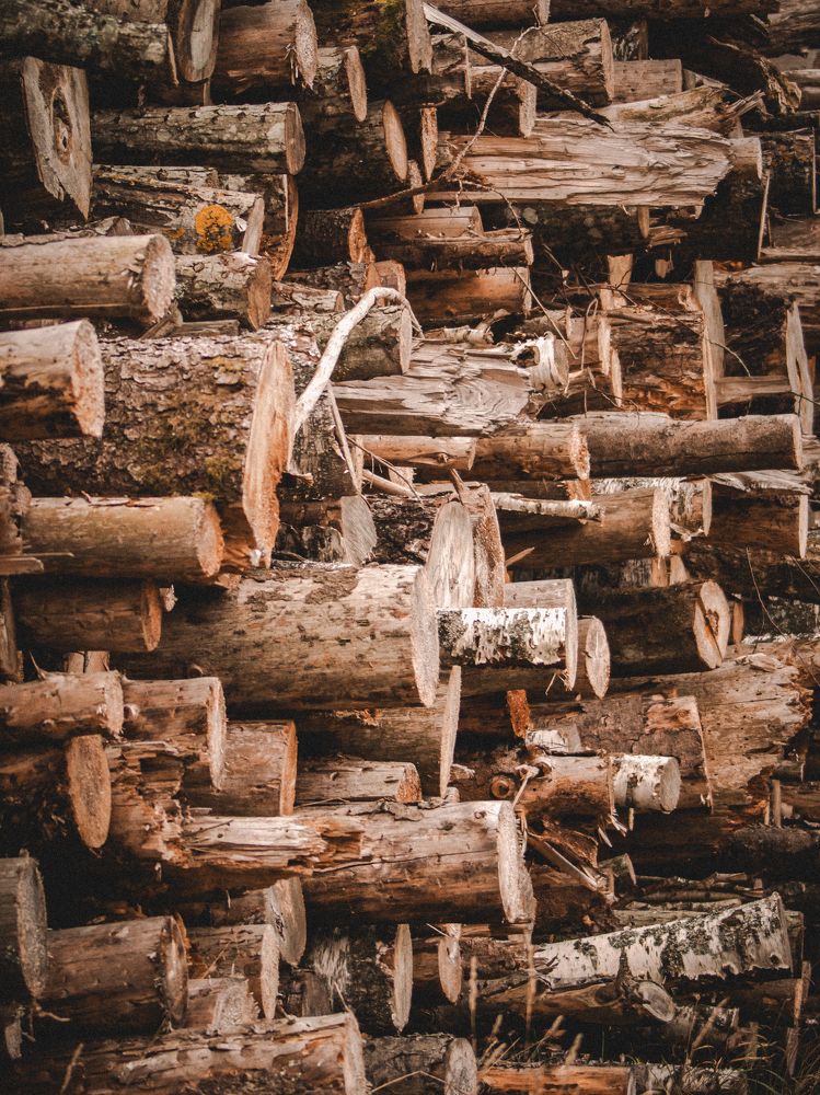 Photograph by Liudmila Kirillova