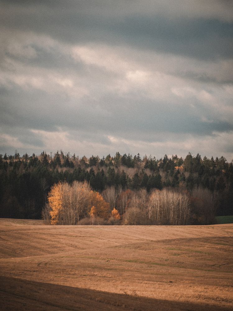 Photograph by Liudmila Kirillova