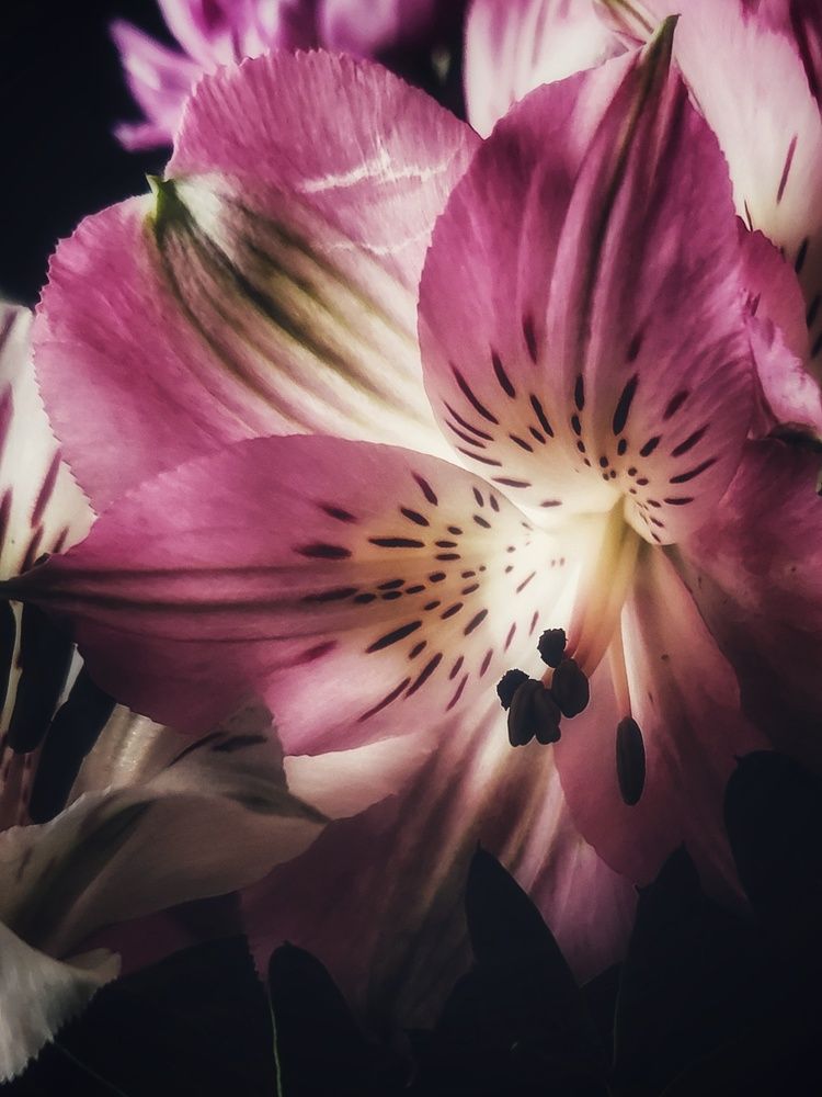 Photograph by Александра Кропивка