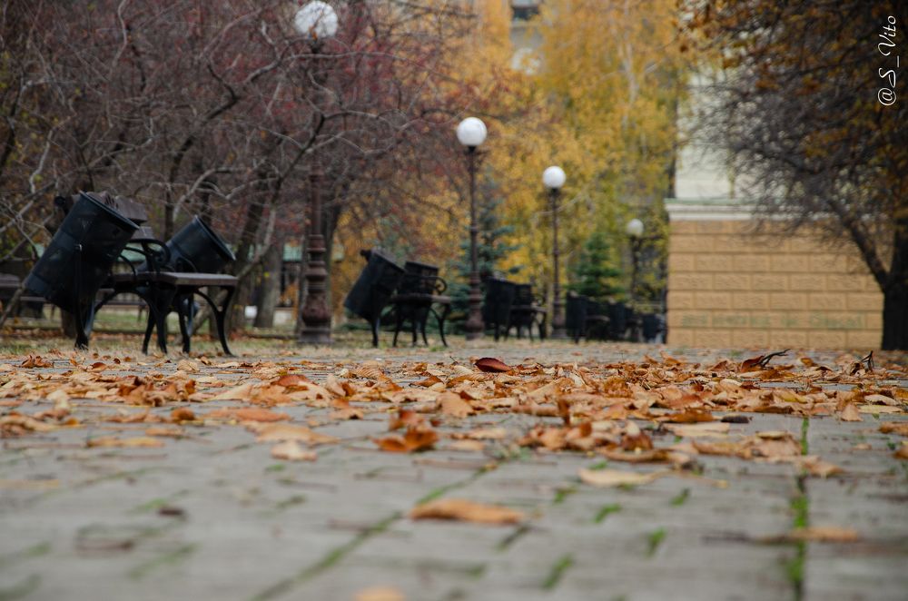 Фотография автора Виктор Степанов