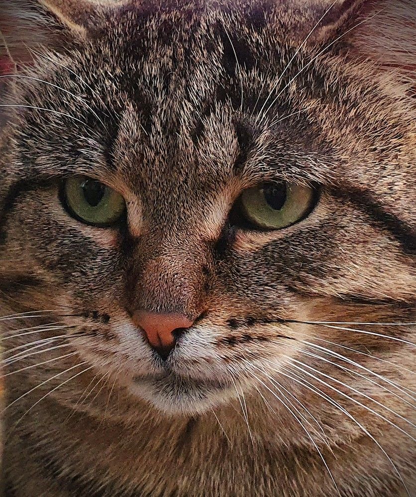 Photograph by Яна Галимуллина