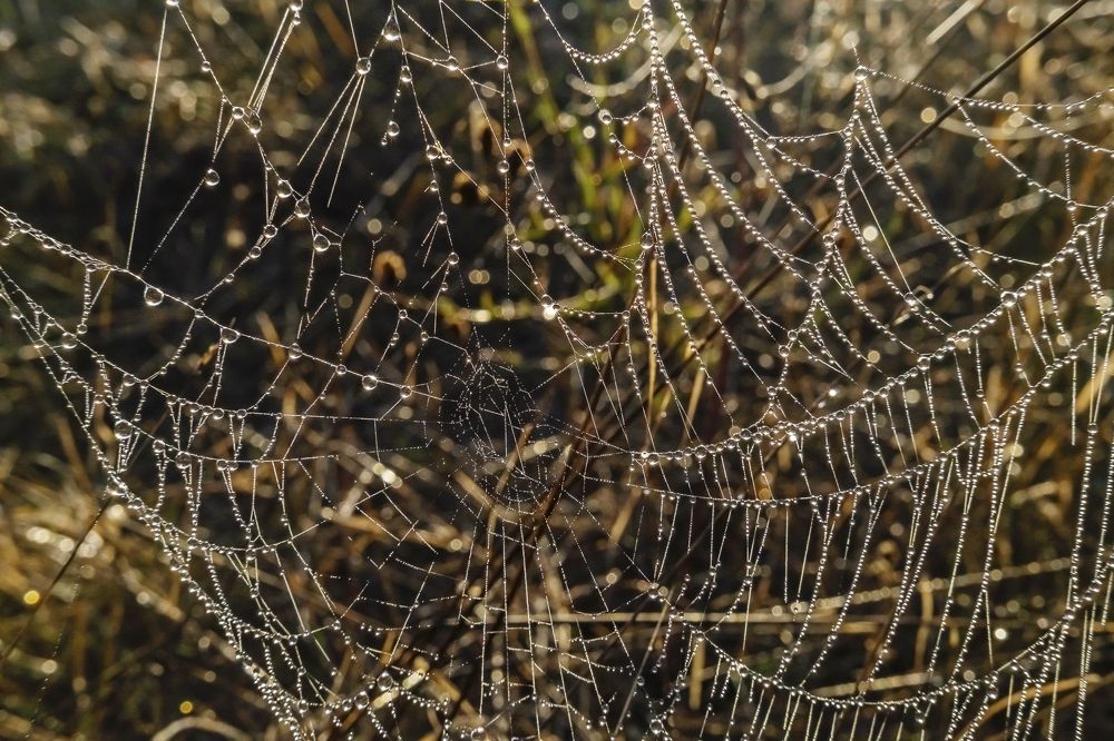 Photograph by Елена Ворошина