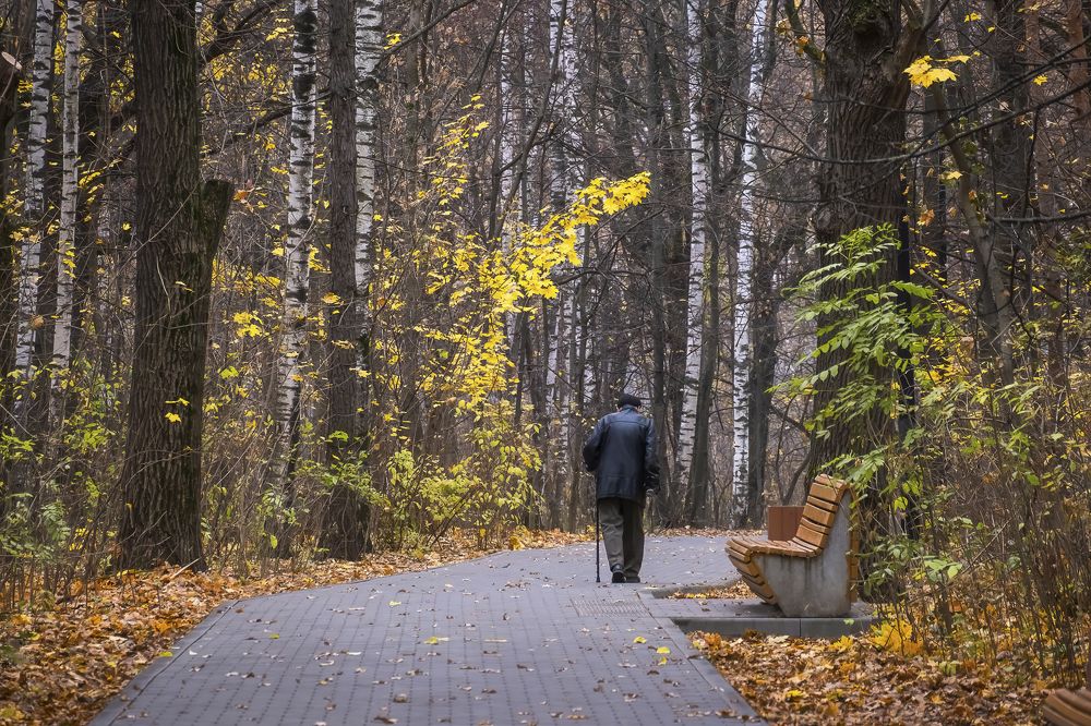 Photograph by Елена Ворошина