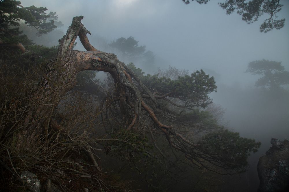 Photograph by Олег Ибрагимов