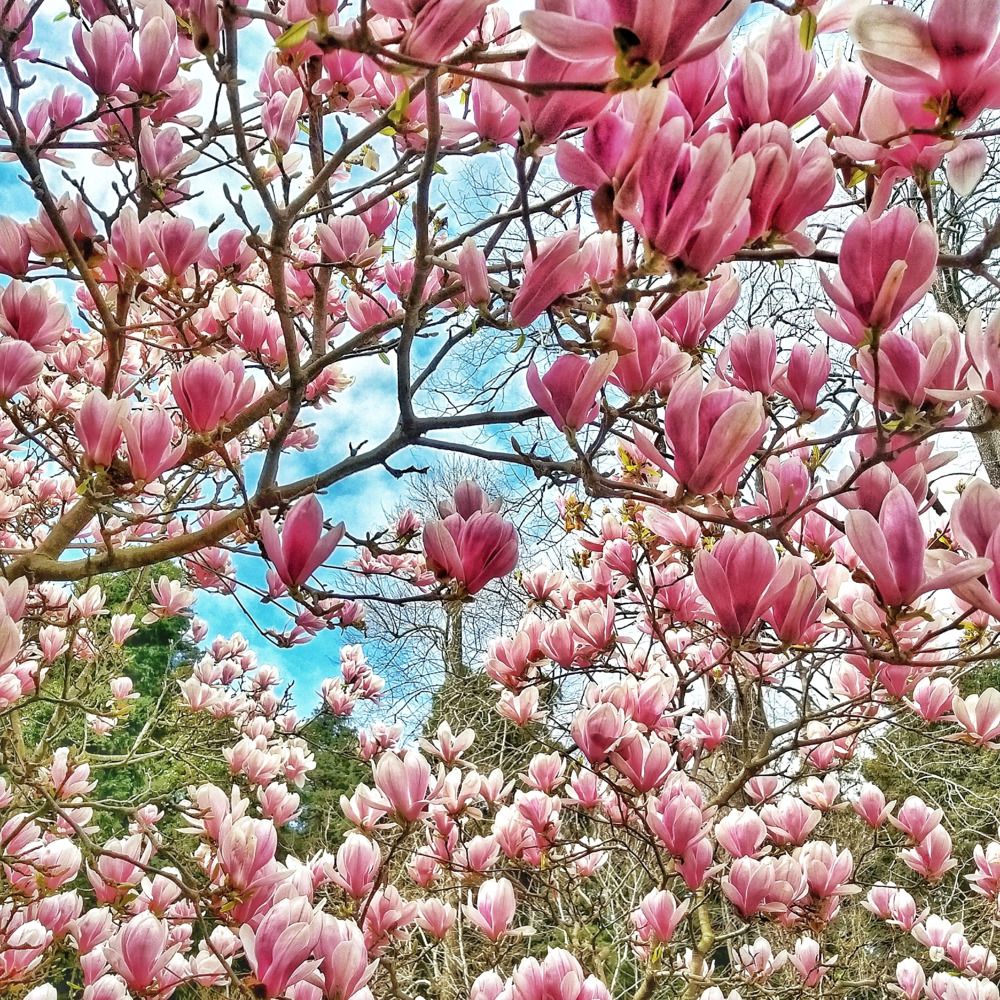 Photograph by Наталья Иванова