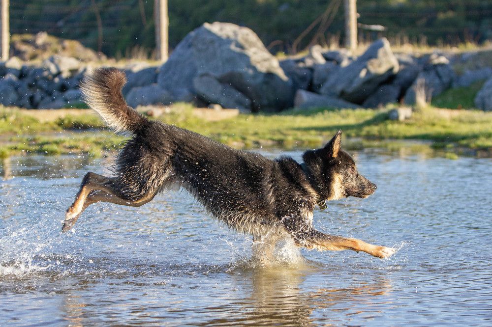 Photograph by Alina Bystrova