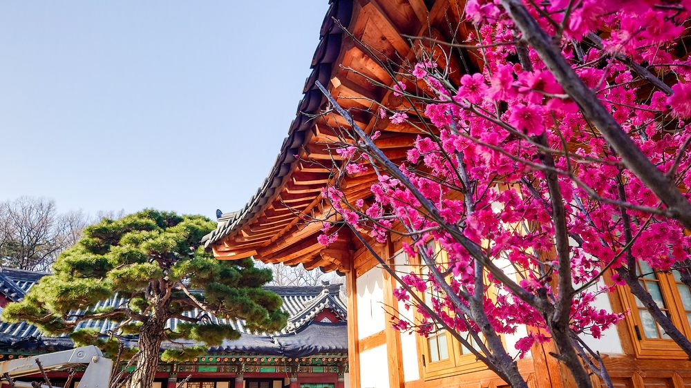 Фотография автора Elena Ku