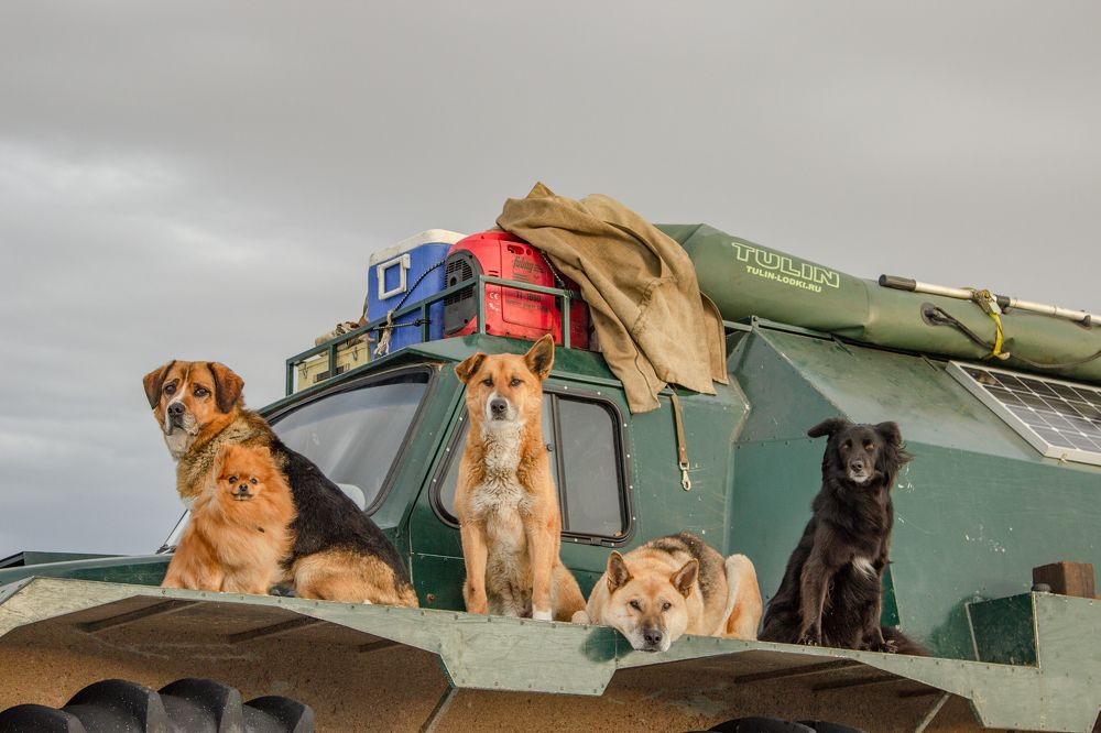 Photograph by Alina Bystrova