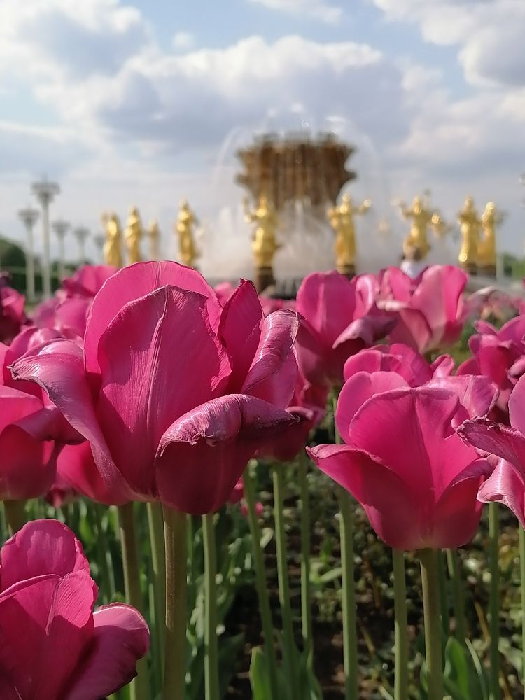 Photograph by Анжелика