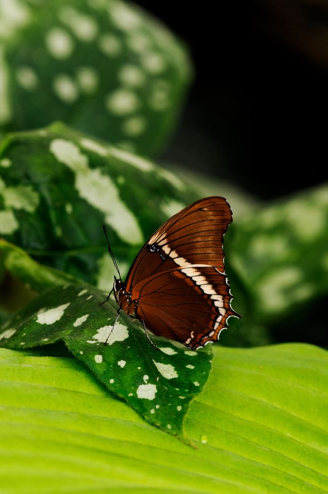 Photograph by Эльга Канашевич