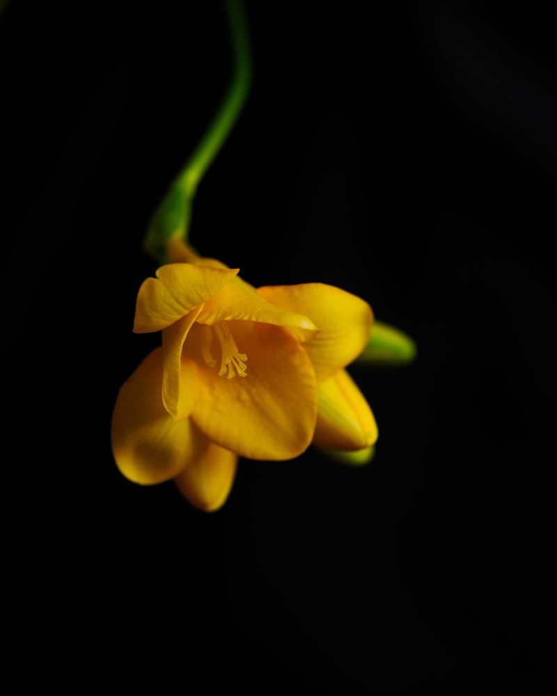 Photograph by Эльга Канашевич