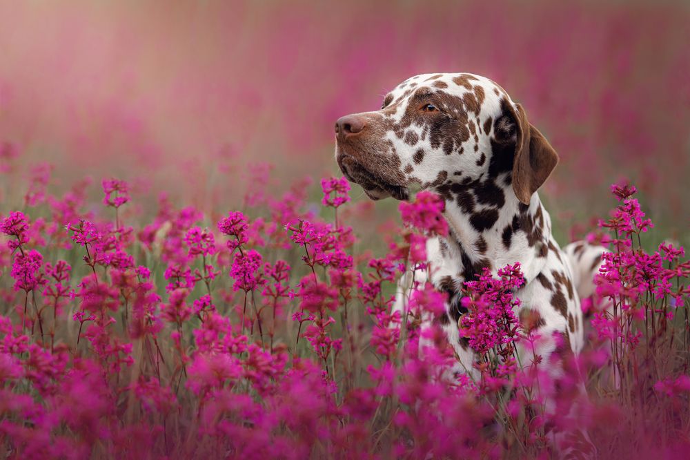 Photograph by Яна Нарбутович