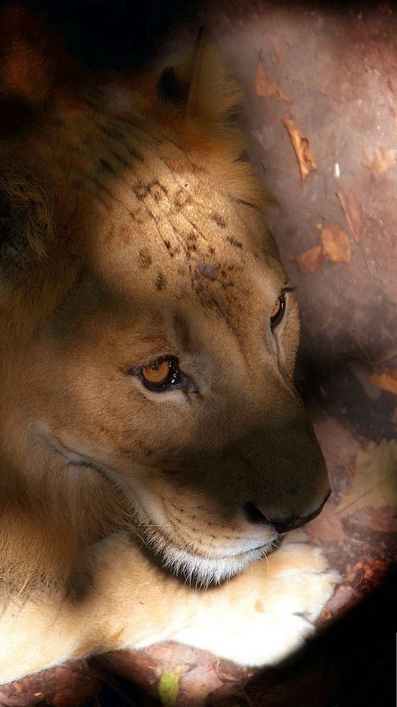 Photograph by Елена Ласун