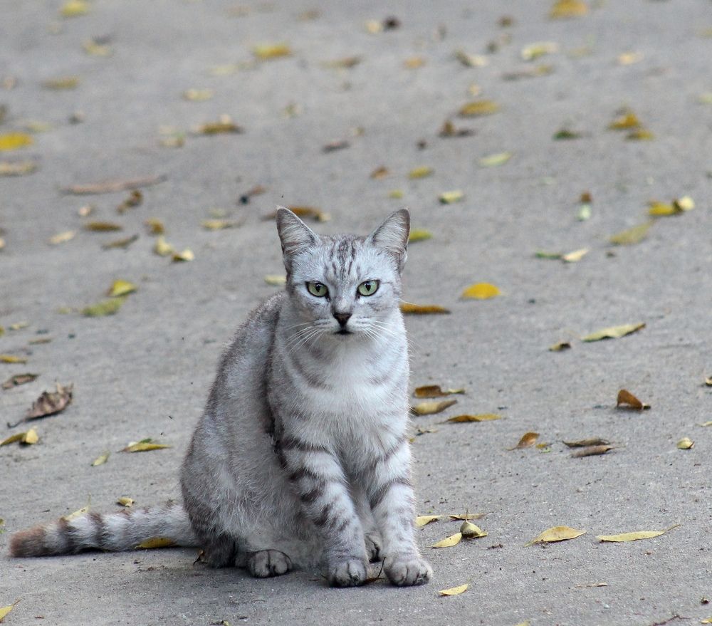 Photograph by Светлана Булыгина