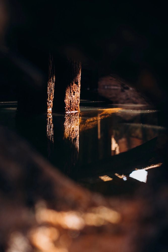 Photograph by Алиса Нежинская