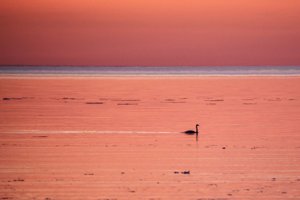 Photograph by Andrew Kuprin