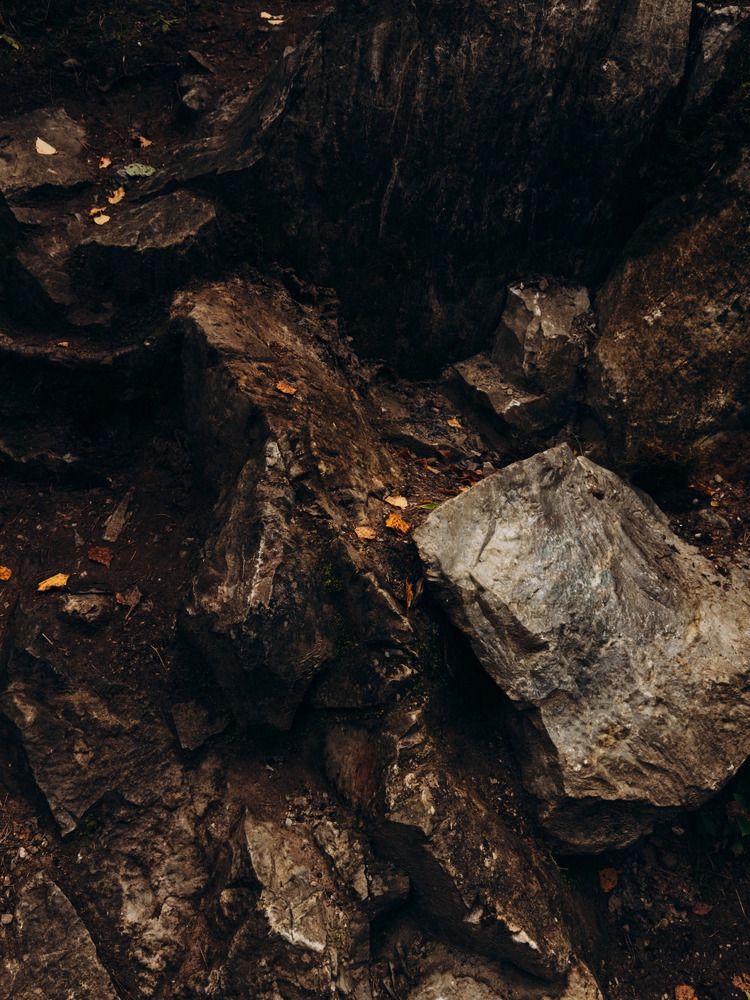 Photograph by Алиса Нежинская