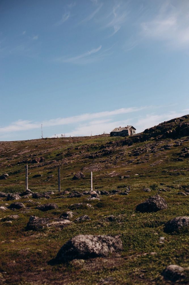 Photograph by Алиса Нежинская