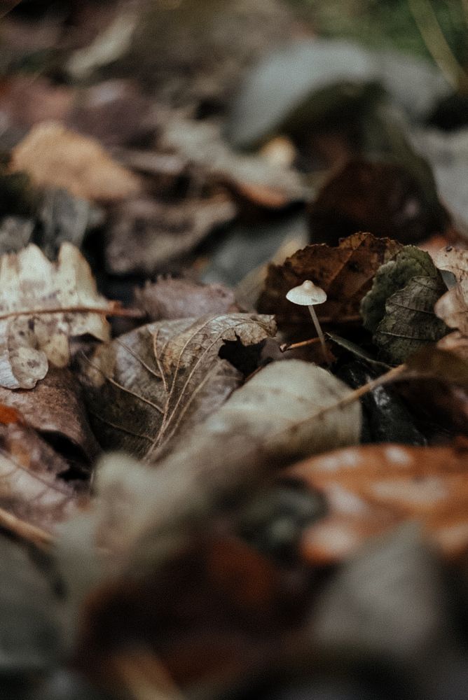 Photograph by Анастасия Черкасова