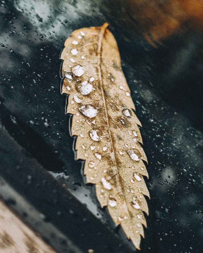 Photograph by Анастасия Черкасова