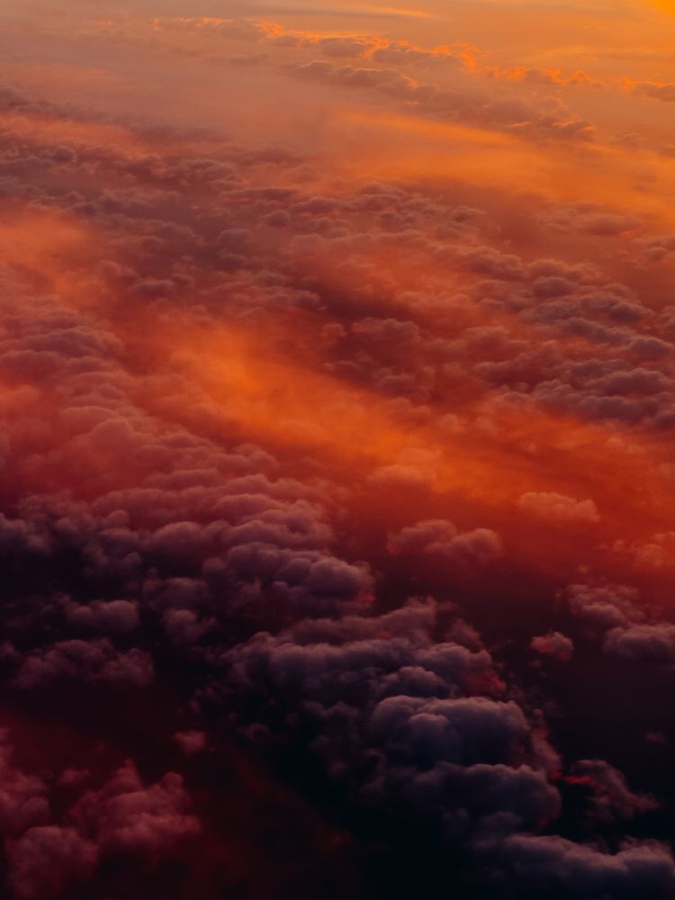 Photograph by Алиса Нежинская