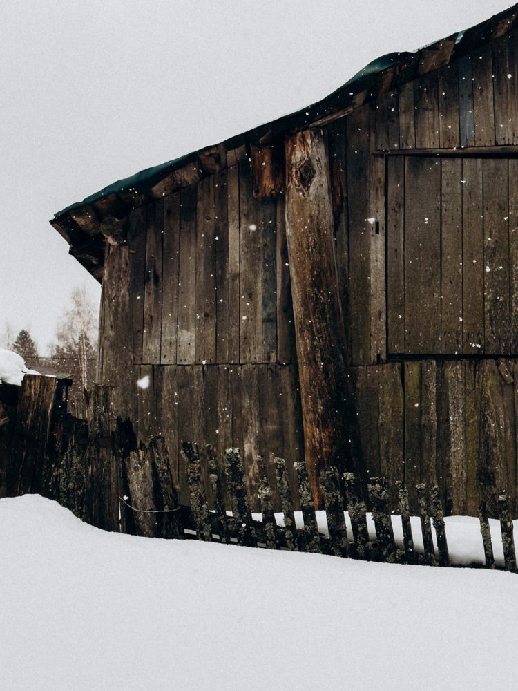 Photograph by Алиса Нежинская