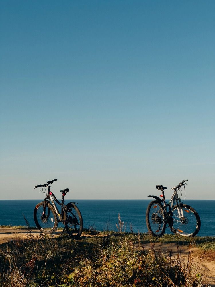 Photograph by Алиса Нежинская