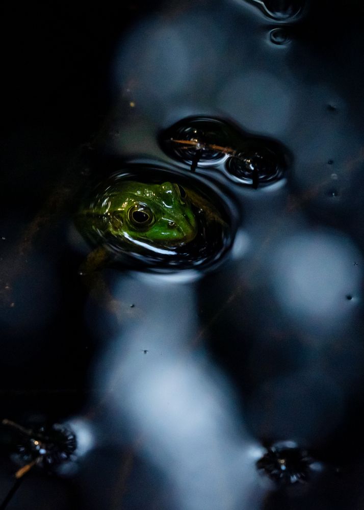 Photograph by Эльга Канашевич