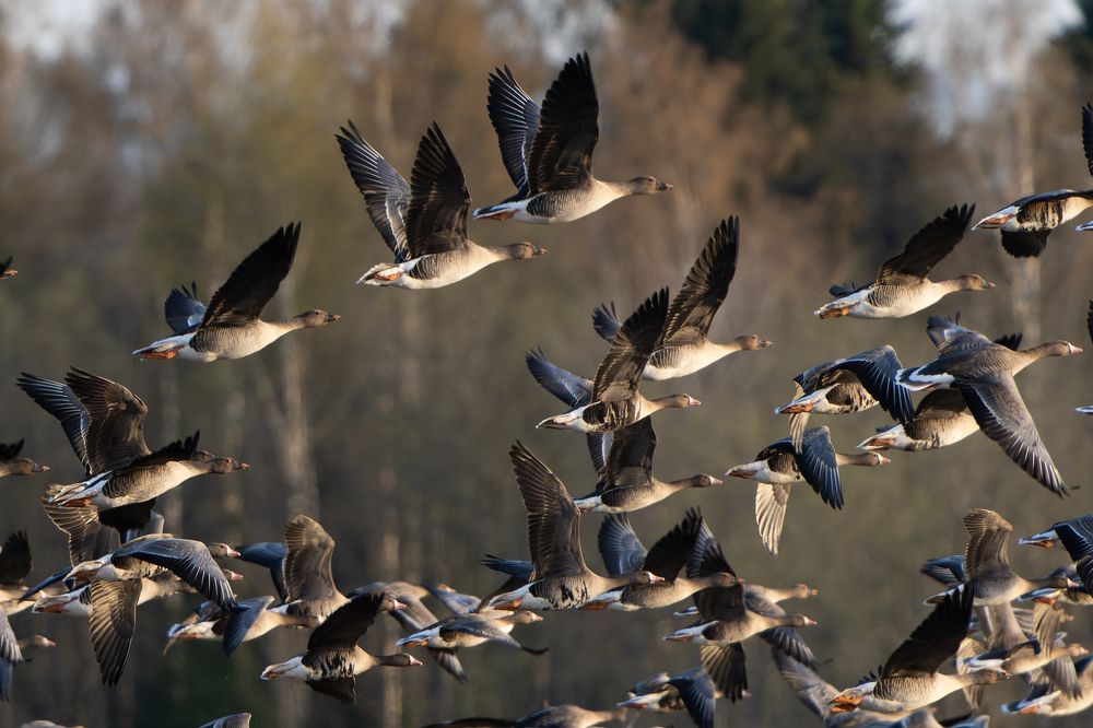 Photograph by Andrew Kuprin