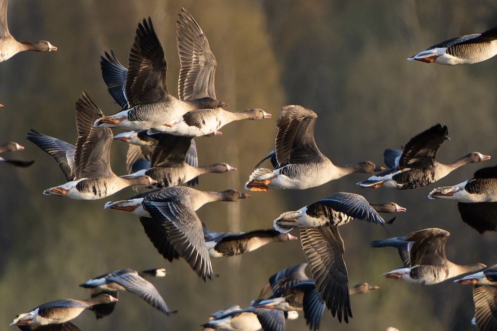 Photograph by Andrew Kuprin