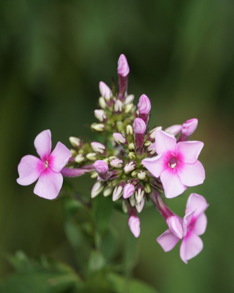 Photograph by Ken Oliver