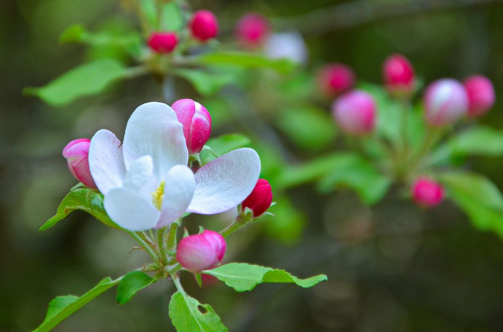 Photograph by Ken Oliver