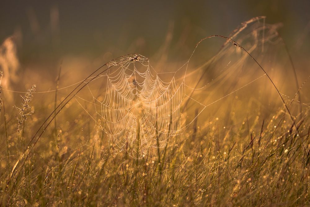 Photograph by Andrew Kuprin