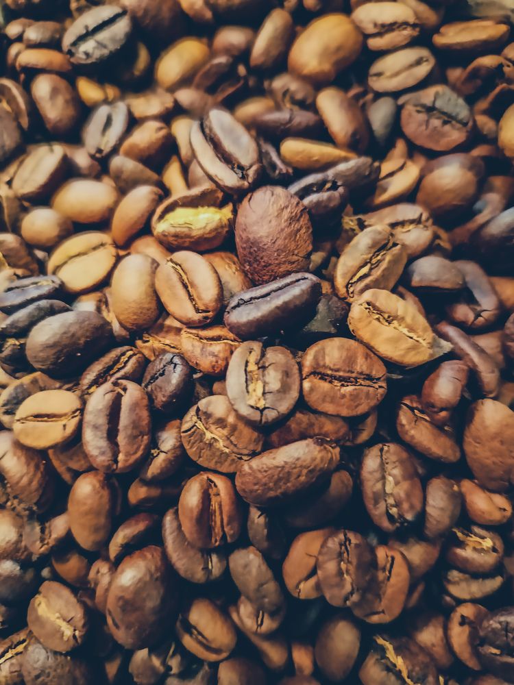 Photograph by Irfan Nuryadin