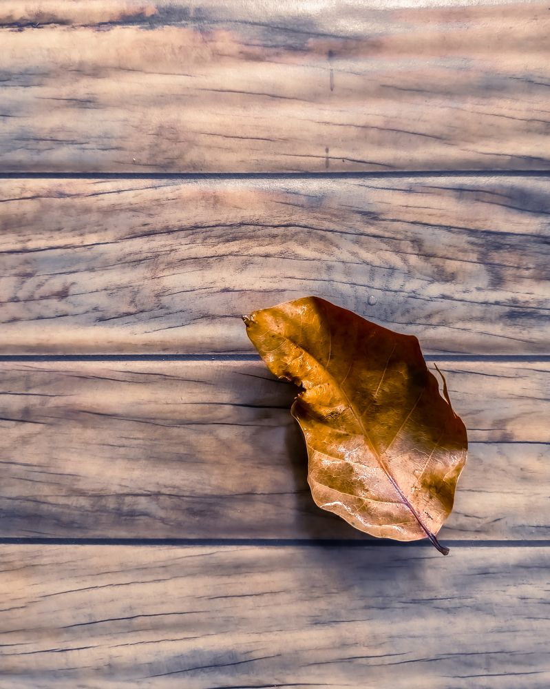 Photograph by Irfan Nuryadin