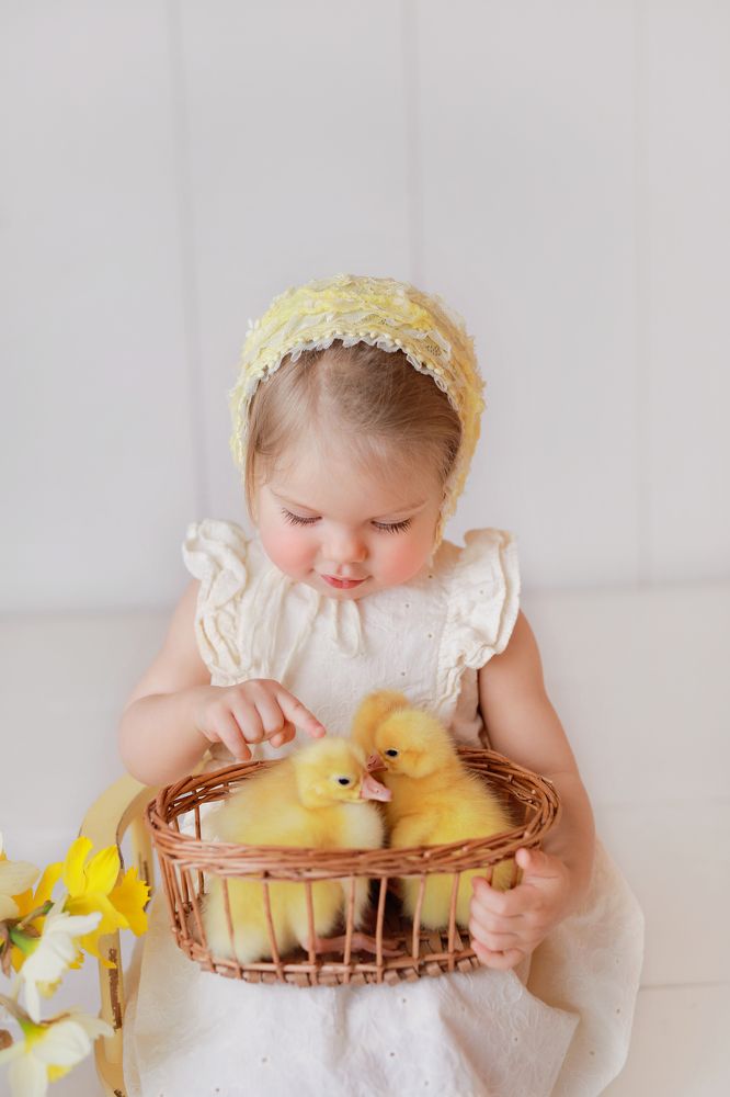 Photograph by Лариса