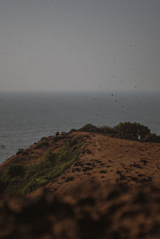 Фотография автора Алиса Исаева