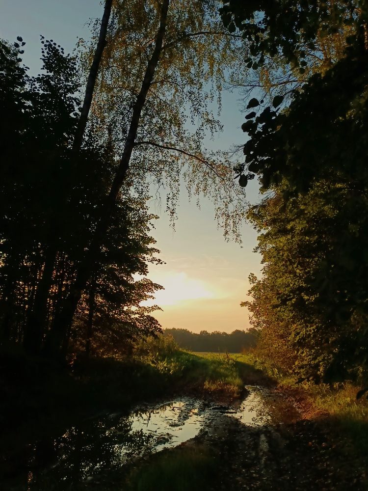 Photograph by Olga Kot