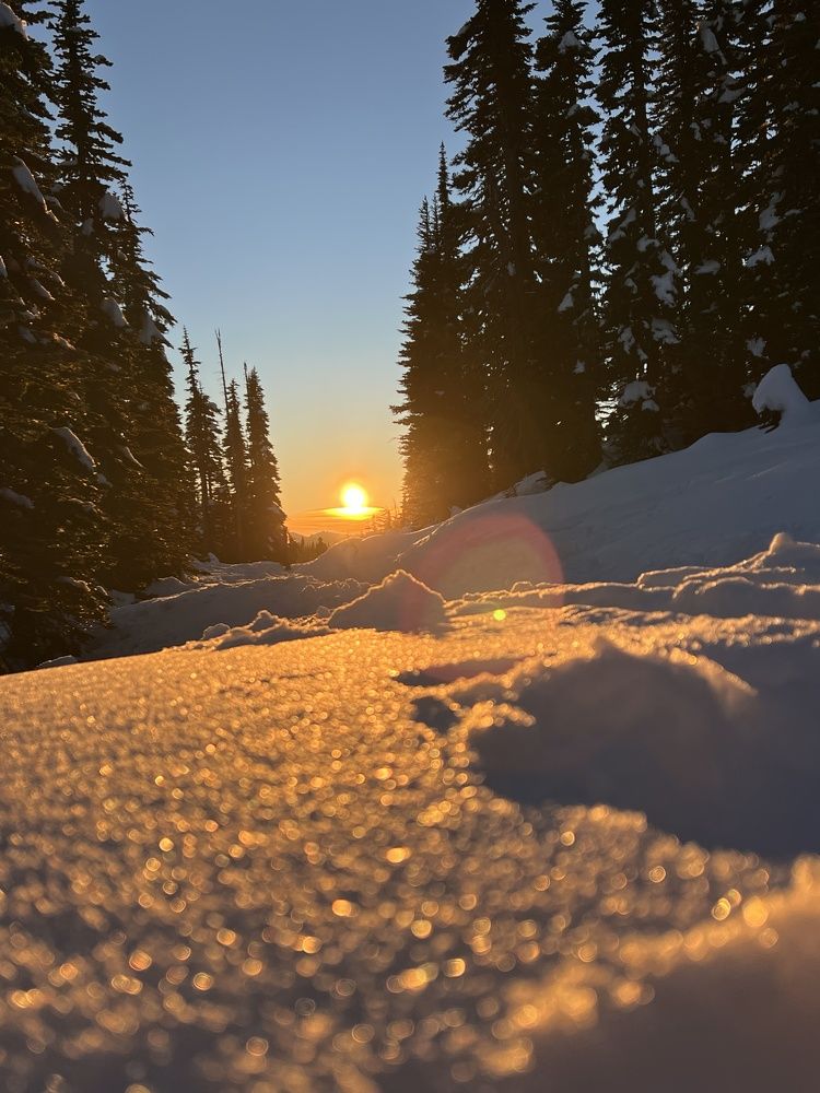 Фотография автора Diana