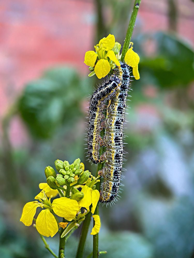 Photograph by Александра Гонтарь