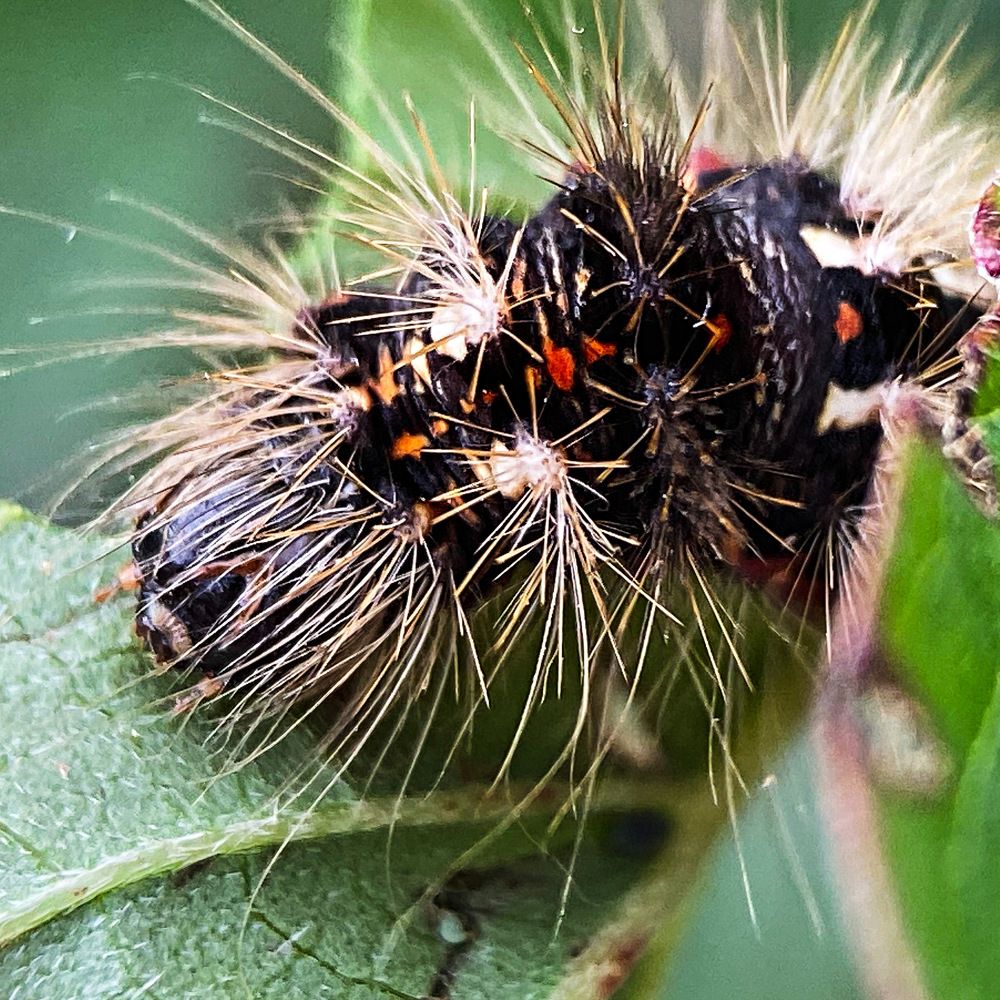 Photograph by Александра Гонтарь