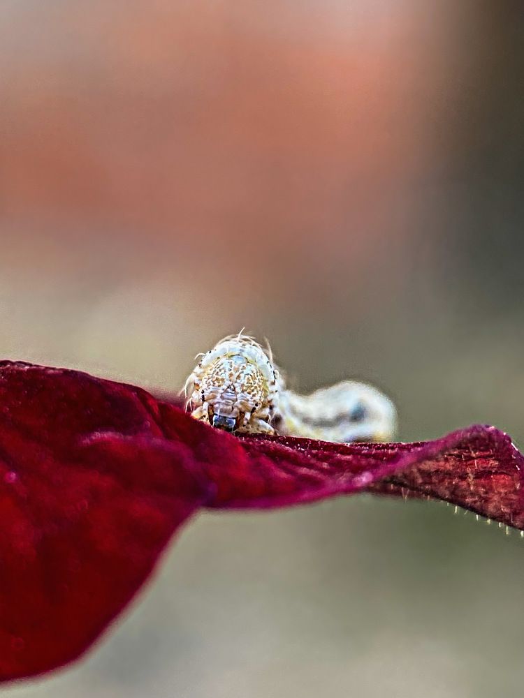 Photograph by Александра Гонтарь